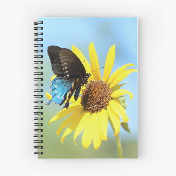 Item preview, What I saw after Brunch designed and sold by Olivia Plasencia.