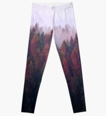 The Ridge Leggings