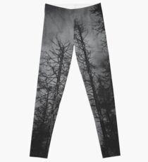 Transmission Leggings