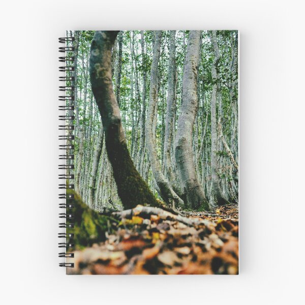 Item preview, Woods - Tuscany - Autumn designed and sold by Giuliamazzarese.