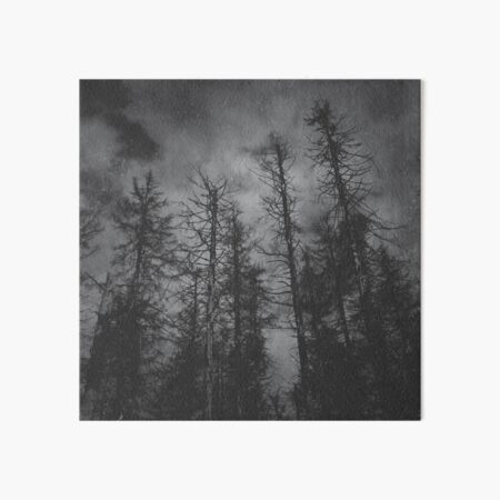 Transmission // Vintage Mountains Moody Forest With Dead Souls Cascadia Trees Covered In Magic Moonlight Art Board Print