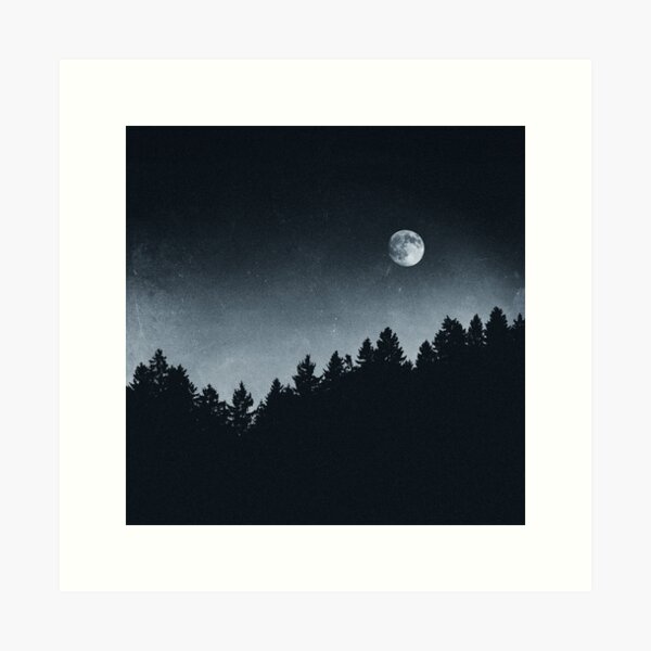 Item preview, Under Moonlight // Ghost Wood Vibes In A Dark Forest With Cascadia Trees In Magic Night Sky designed and sold by Tordis Kayma.