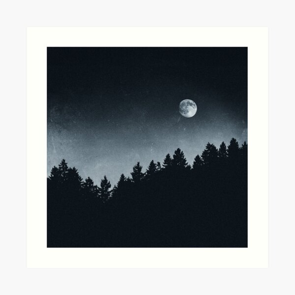 Under Moonlight Art Print