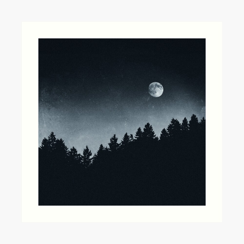Under Moonlight Art Print
