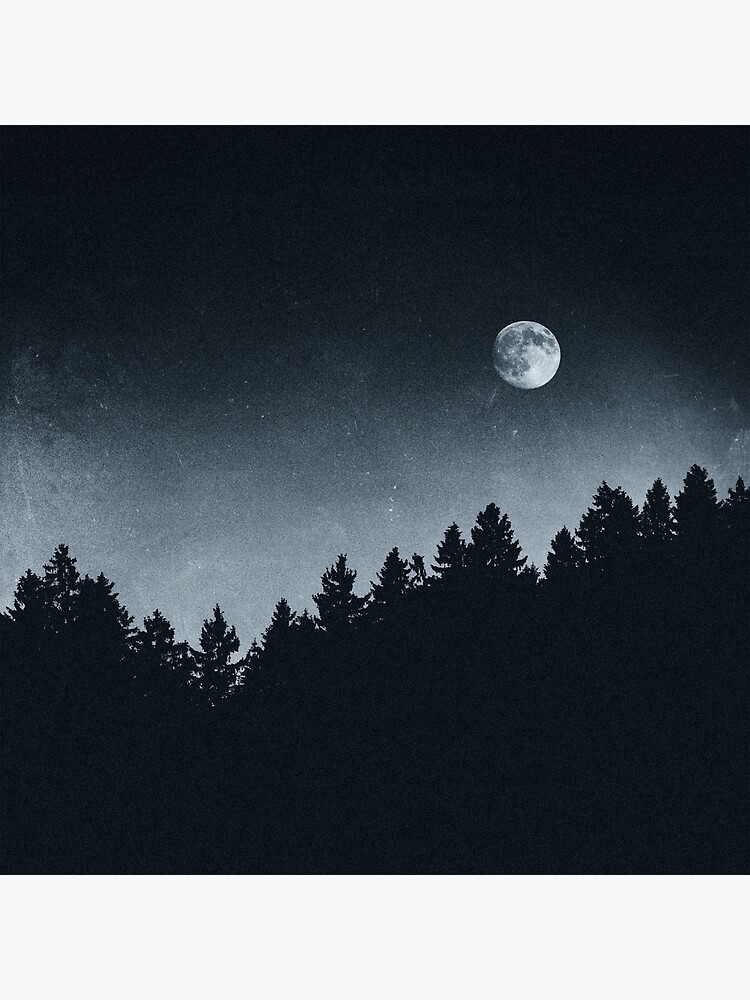under the moonlight pop vinyl