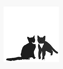 Trixie and Miffy the Tuxedo Cats Photographic Print