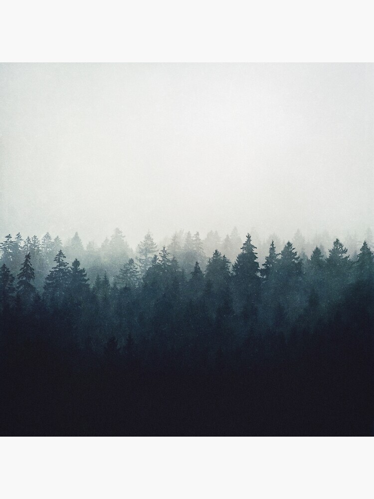 A Wilderness Somewhere by tekay