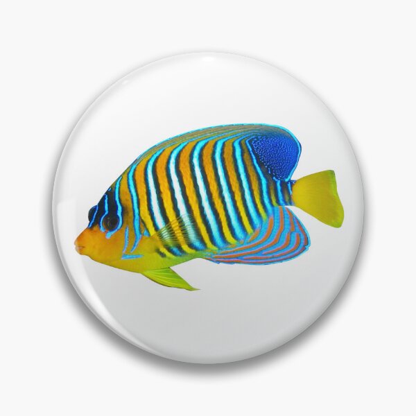 Item preview, Marine Angelfish designed and sold by killies.