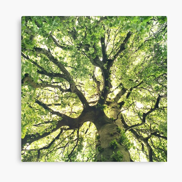 Under Your Skin Canvas Print