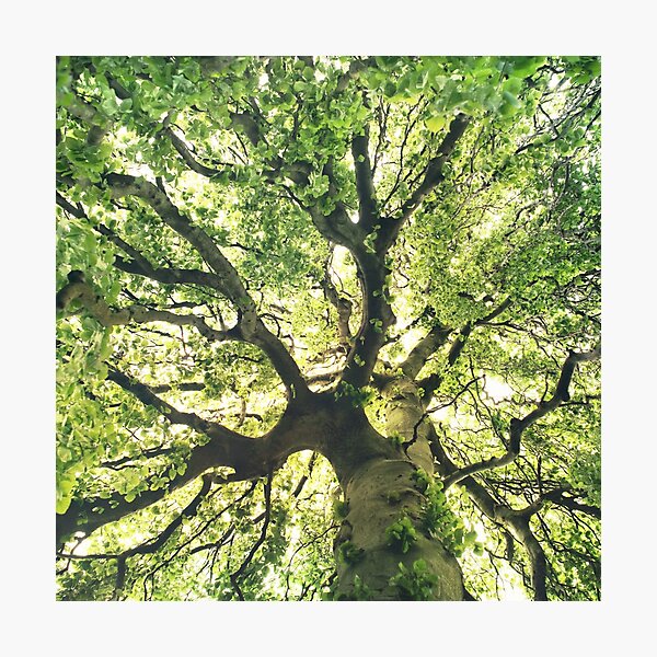 Under Your Skin Photographic Print