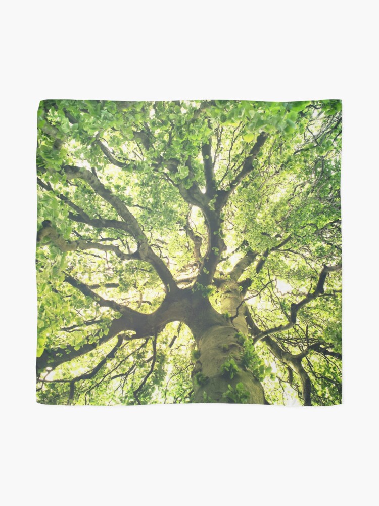 Alternate view of Under Your Skin Scarf