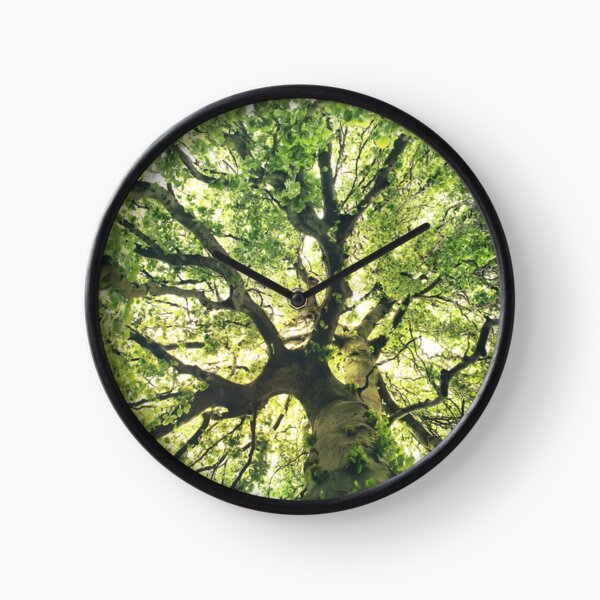 Item preview, Under Your Skin // Under Your Skin // Summer Breeze In A Wilderness Fairytale Forest With A Tree Covered In Magic Sunlight designed and sold by Tordis Kayma.
