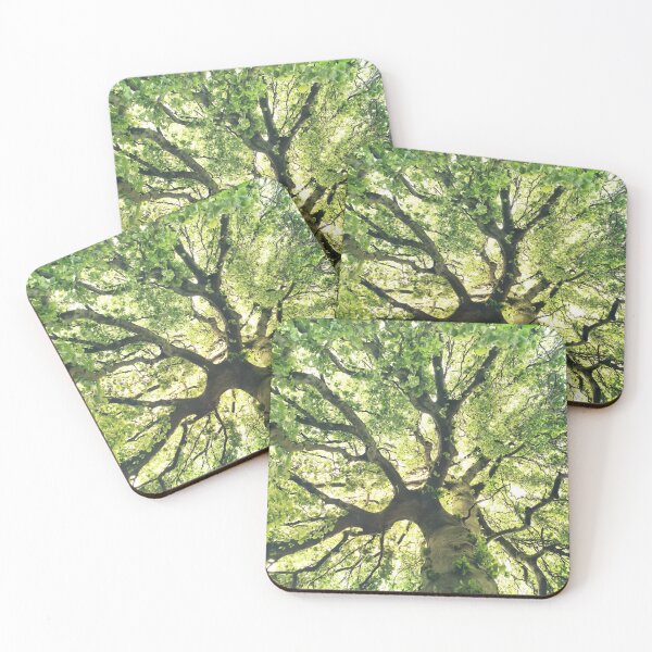 Item preview, Under Your Skin // Under Your Skin // Summer Breeze In A Wilderness Fairytale Forest With A Tree Covered In Magic Sunlight designed and sold by Tordis Kayma.