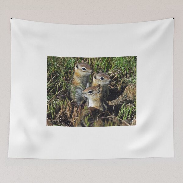 Item preview, New To The World designed and sold by Gary Benson.