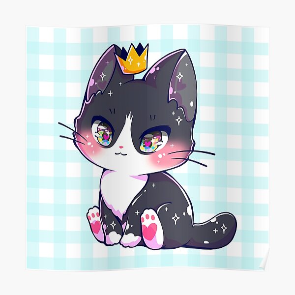 Cute Little Kitty Cat  kimura Anime Blue Eyes Scared Cat Kitty  Cat HD wallpaper  Peakpx