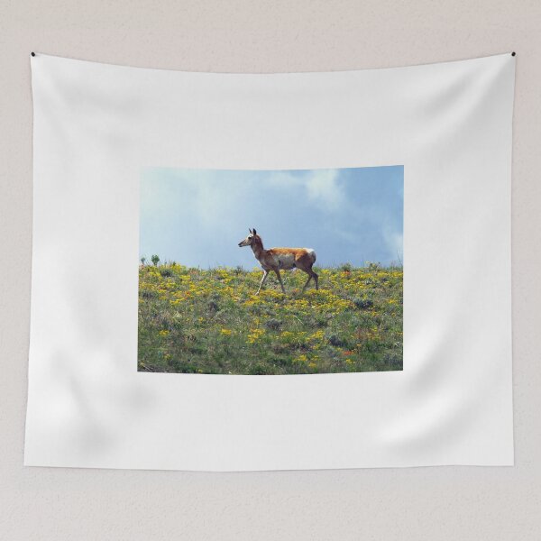 Item preview, Enjoying The Wild Flowers designed and sold by Gary Benson.