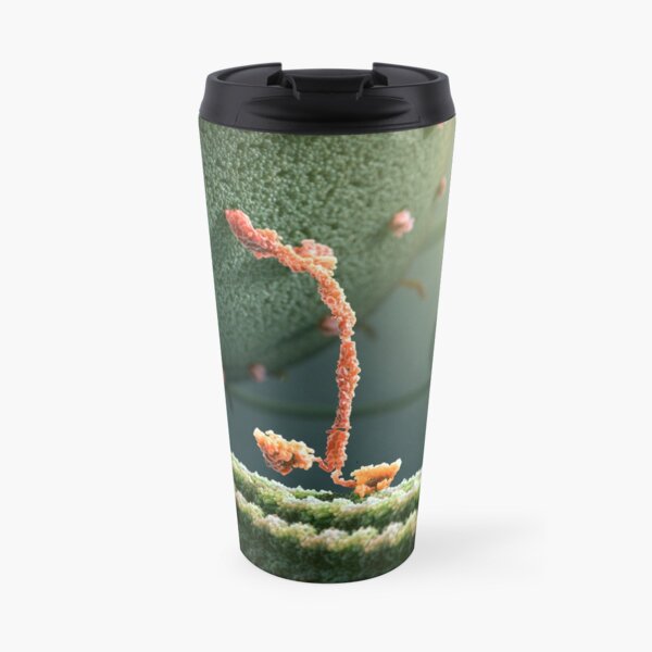 Kinesin Protein Walking by John Liebler Travel Coffee Mug