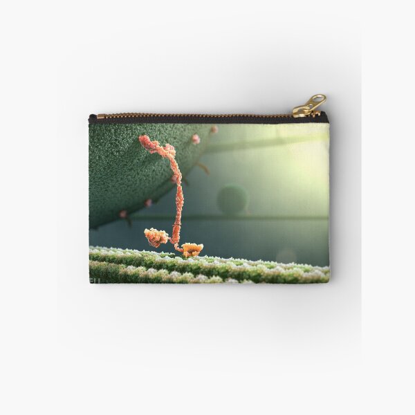 Item preview, Kinesin Protein Walking by John Liebler designed and sold by John Liebler.