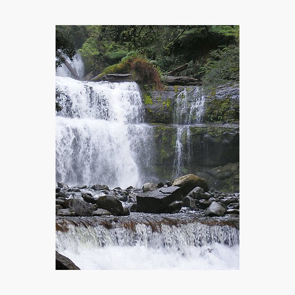 rushing water at Liffey Falls, Tasmania Photographic Print