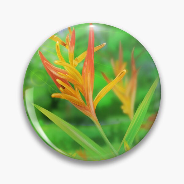 Item preview, Parrot Heliconia designed and sold by aubreyillurimo.
