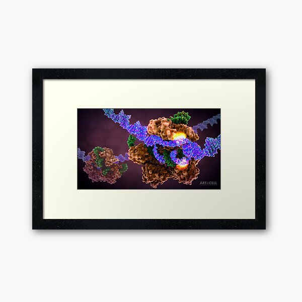 Item preview, CRISPR Cas9 Gene Editing designed and sold by John  Liebler.