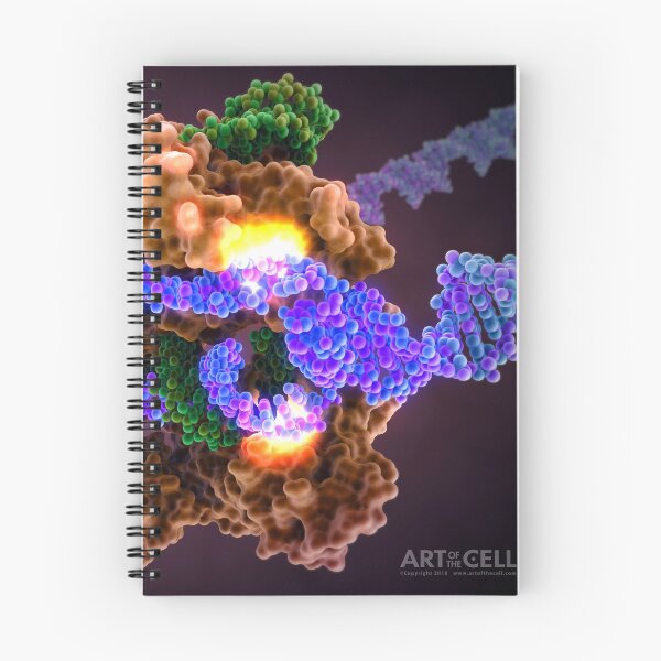 Item preview, CRISPR Cas9 Gene Editing designed and sold by John  Liebler.