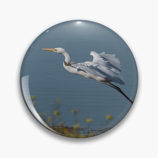 Item preview, Great Egret take off. designed and sold by PVphotography.