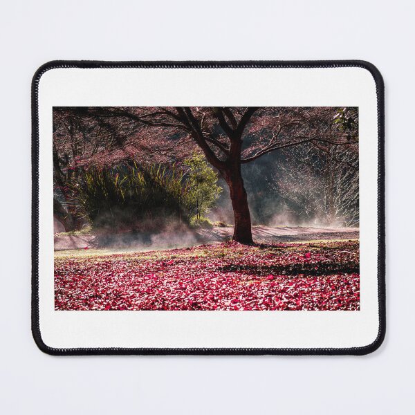 Item preview, Autumn leaves designed and sold by PVphotography.