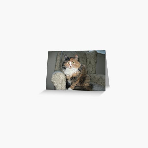 Shelby's Chair Greeting Card