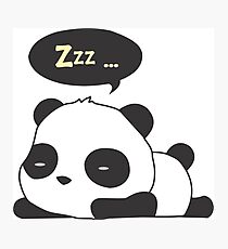 Sleeping panda Photographic Print