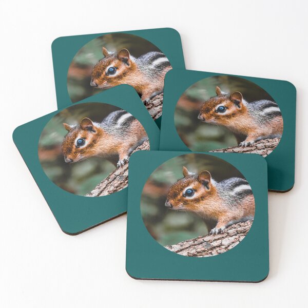 Item preview, Chipmunk Photograph designed and sold by RobinBadger.