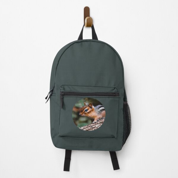 Item preview, Chipmunk Photograph designed and sold by RobinBadger.
