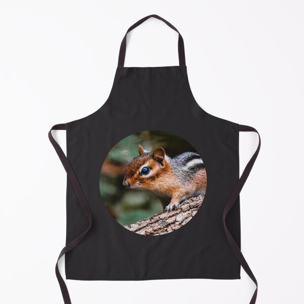 Item preview, Chipmunk Photograph designed and sold by RobinBadger.