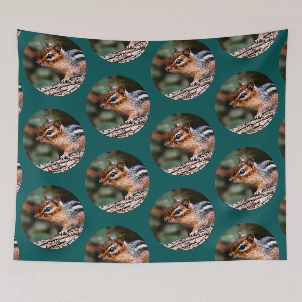 Item preview, Chipmunk Photograph designed and sold by RobinBadger.