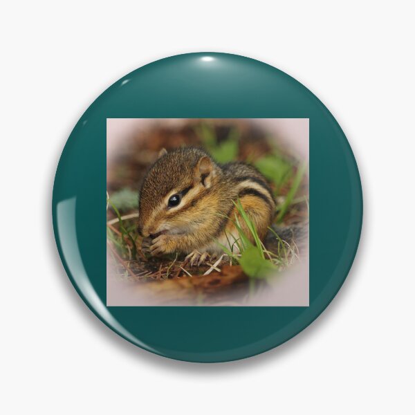 Item preview, Cute Baby Chipmunk designed and sold by RobinBadger.