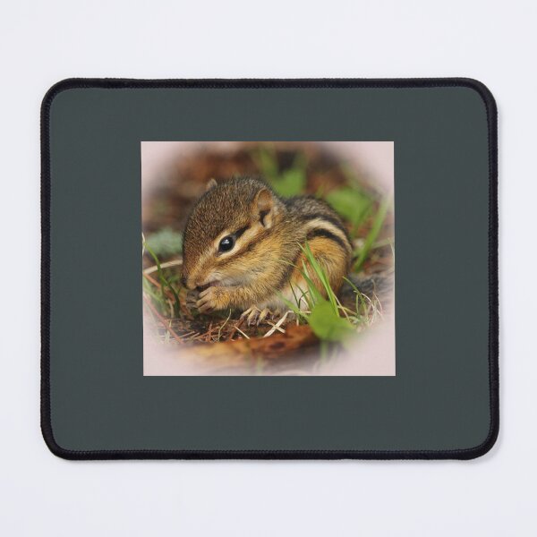 Item preview, Cute Baby Chipmunk designed and sold by RobinBadger.