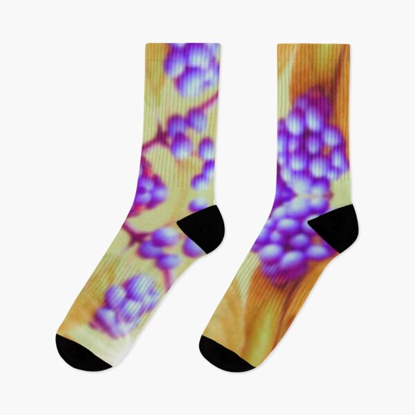 Item preview, Beautyberry Gold and Violet Equinox Sunrise designed and sold by imageverses.