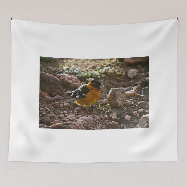 Item preview, Grosbeak designed and sold by Gary Benson.
