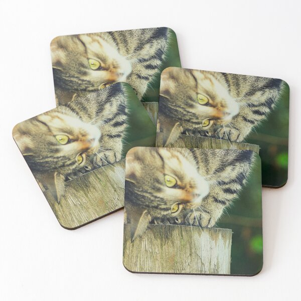Item preview,  tabby cat designed and sold by Francespoppy.