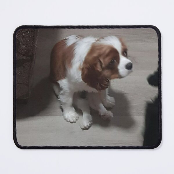 Item preview, Schmidt designed and sold by Thecaity4.