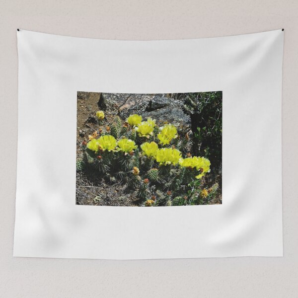 Item preview, Pretty And Pointy designed and sold by Gary Benson.