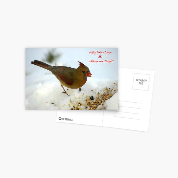 May your Days be Merry and Bright! Postcard