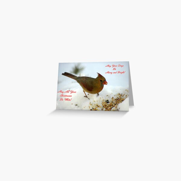May All Your Christmases Be White! Greeting Card
