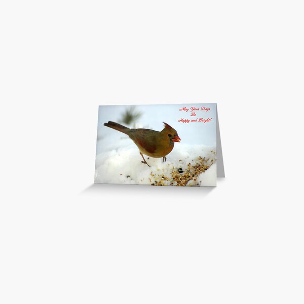 May Your Days Be Happy and Bright! Greeting Card