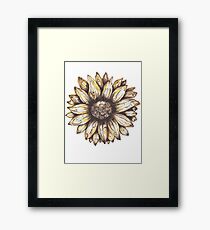 Sunflower Framed Print