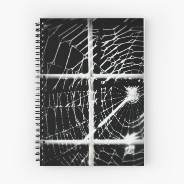 Item preview, spiders web designed and sold by Francespoppy.