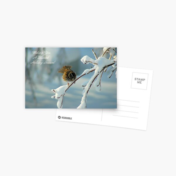 Wishing You a Blessed Hoilday Season! Postcard