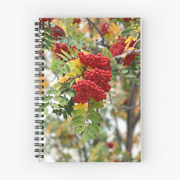 Item preview, Ash Tree 1 designed and sold by hawkeye888.
