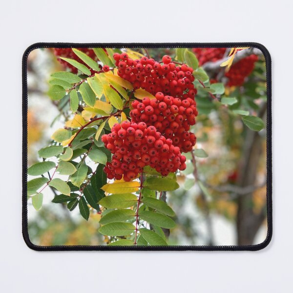 Item preview, Ash Tree 1 designed and sold by hawkeye888.