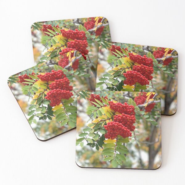 Item preview, Ash Tree 1 designed and sold by hawkeye888.